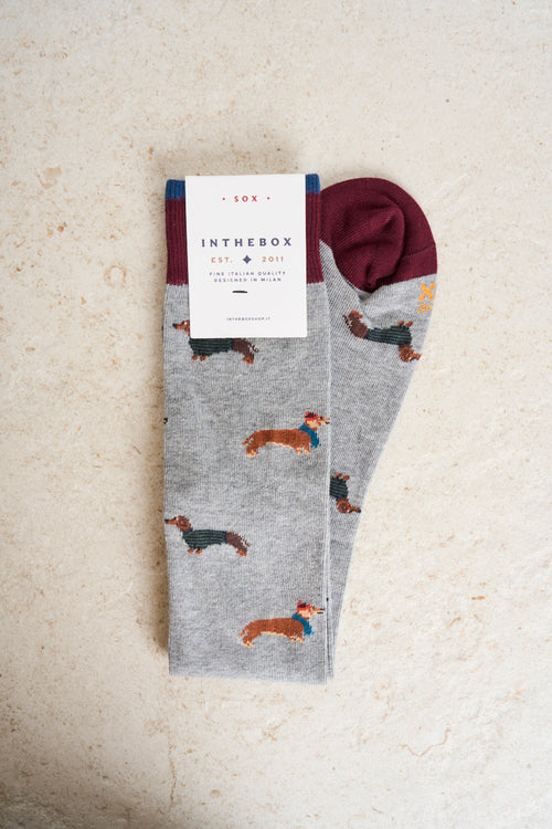 Dachshund pattern men's socks