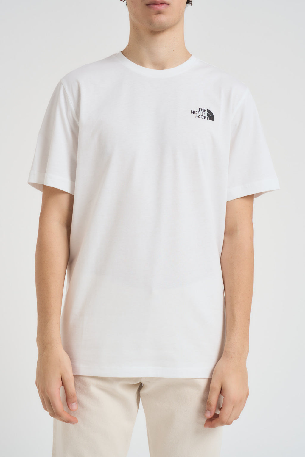T-shirt uomo Redbox bianca 87NP FN4 THE NORTH FACE 