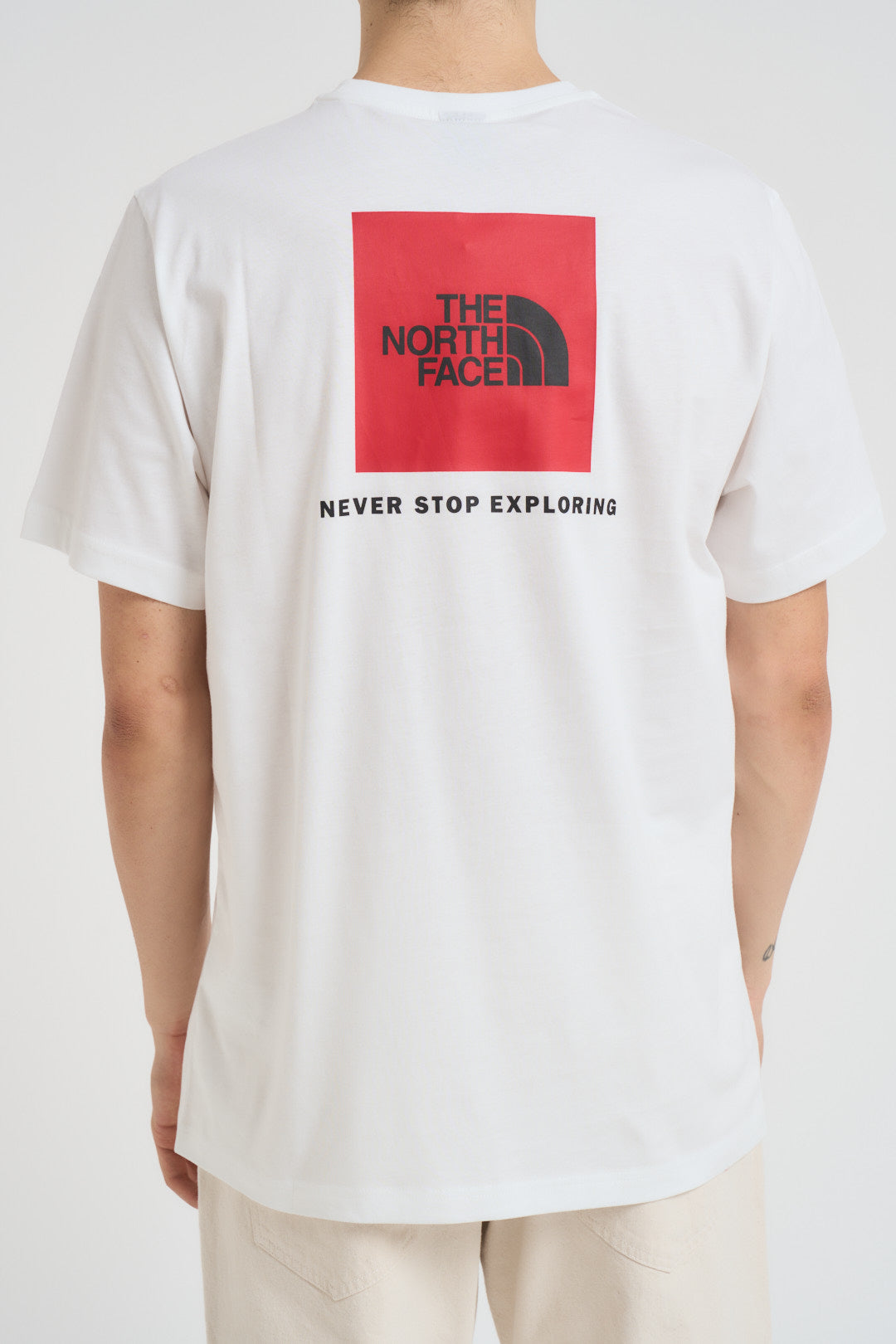 T-shirt uomo Redbox bianca 87NP FN4 THE NORTH FACE 