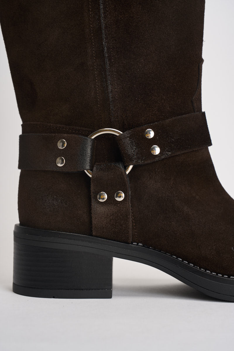 Biker donna in suede testa di moro AT2350M CAMMORO OVYE 