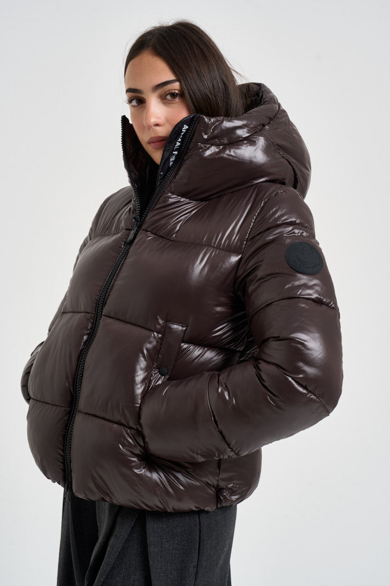 Piumino donna corto lucido cioccolato D31989W 40009 SAVE THE DUCK 