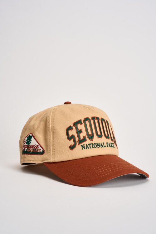 Cappello uomo baseball beige e marrone - 2