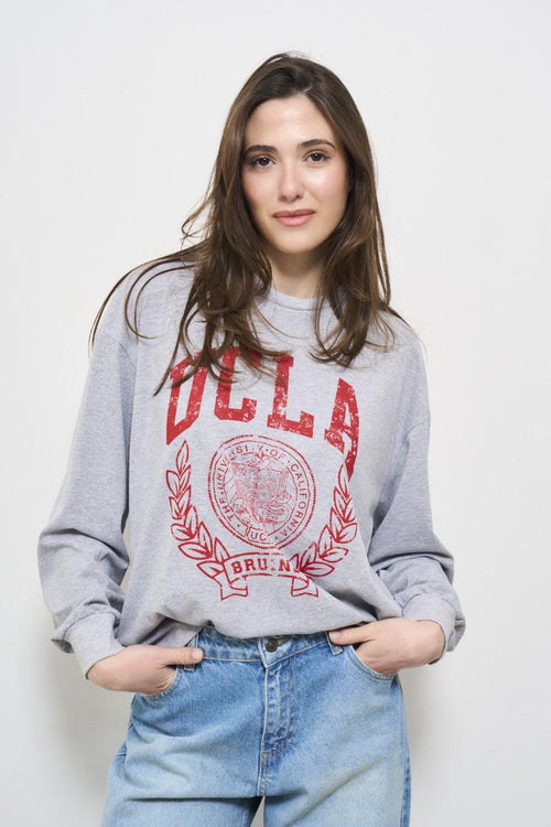 Women's grey sweatshirt with print